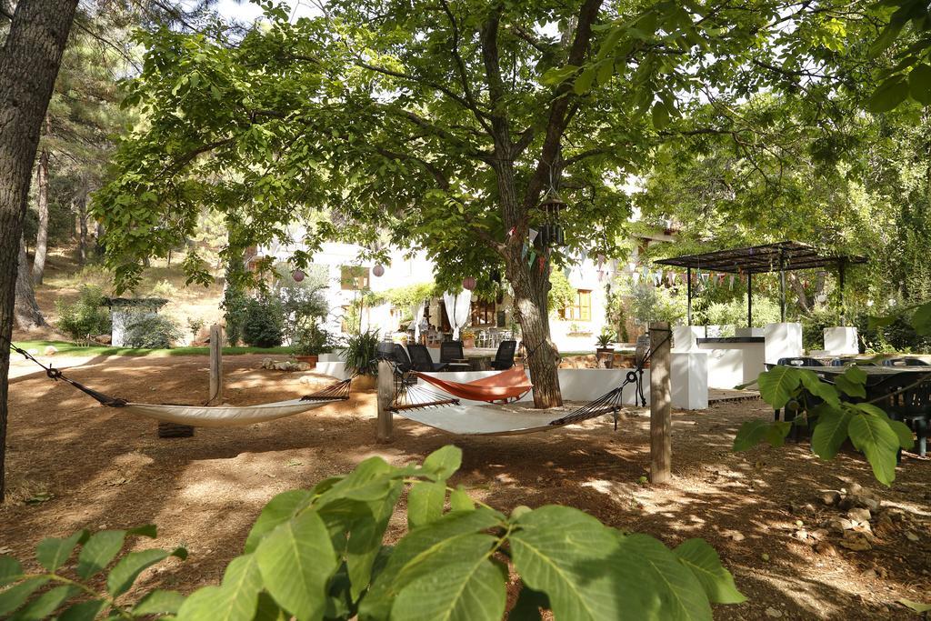 Cortijo De Ramon Guest House Cortijos Nuevos Eksteriør bilde